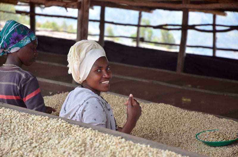 Glen Lyon Coffee Rwanda 2015